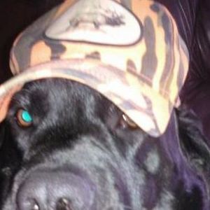 Meet your Posher, Ron